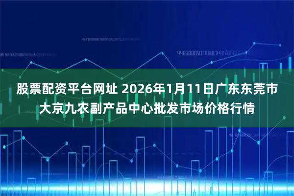 股票配资平台网址 2026年1月11日广东东莞市大京九农副产品中心批发市场价格行情